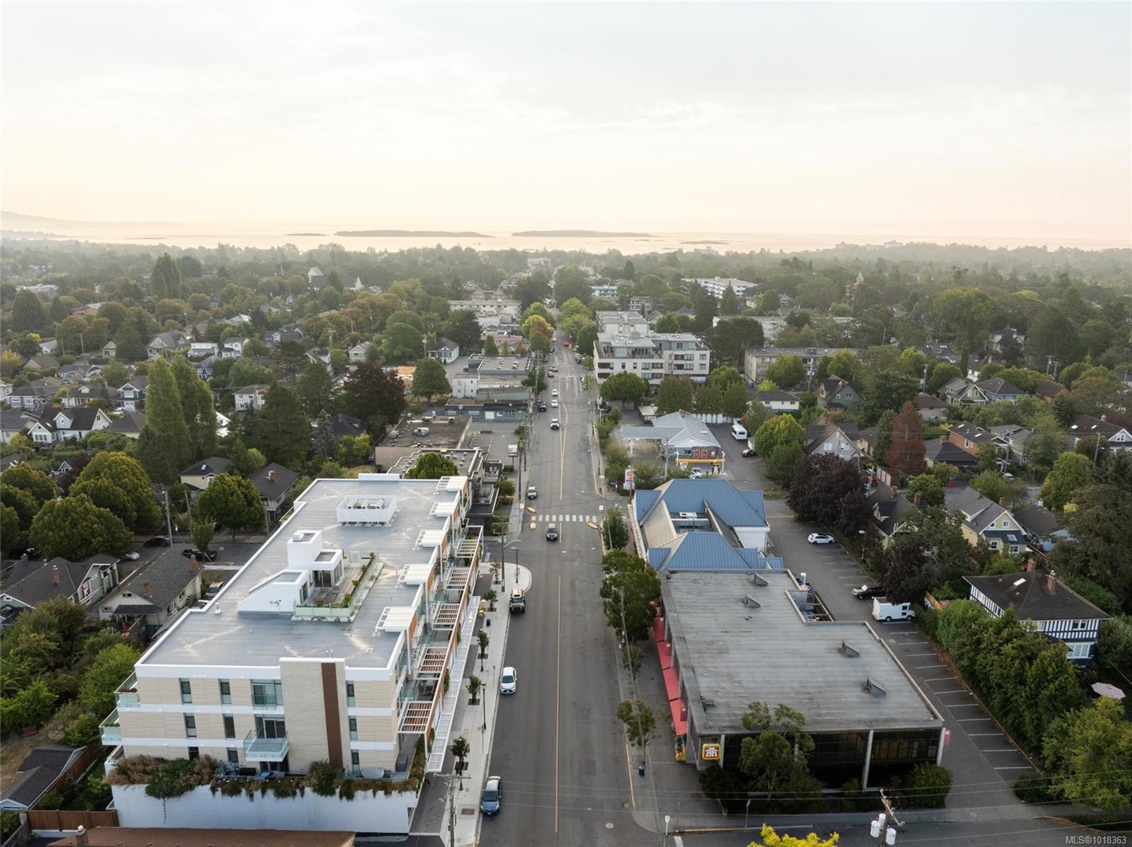 301-1916 Oak Bay Ave, Victoria, BC - Outdoor With View