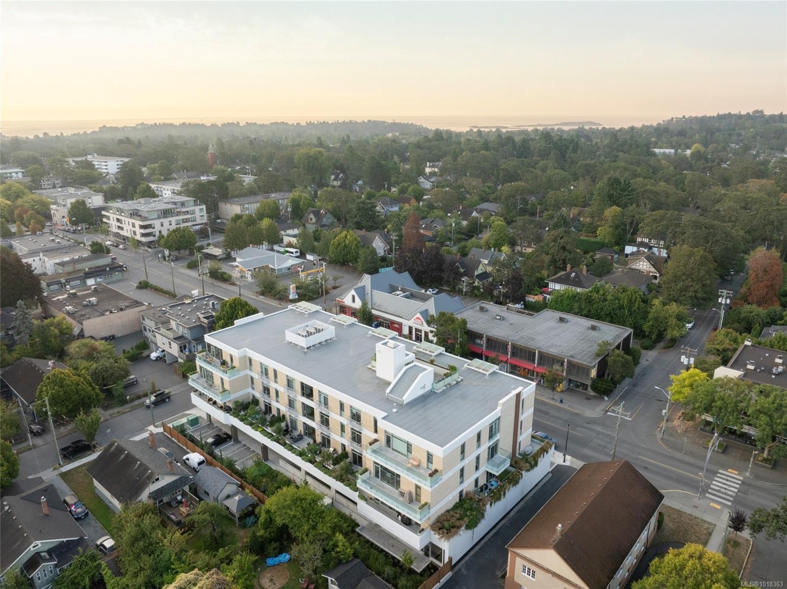 301-1916 Oak Bay Ave, Victoria, BC - Outdoor With View