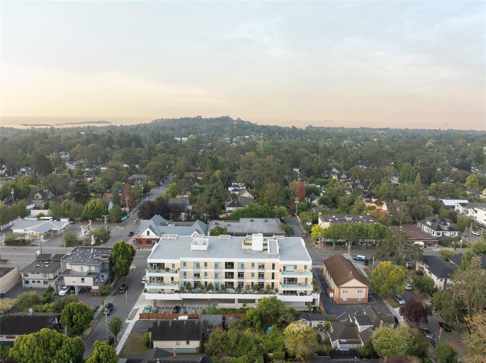 301-1916 Oak Bay Ave, Victoria, BC - Outdoor With View
