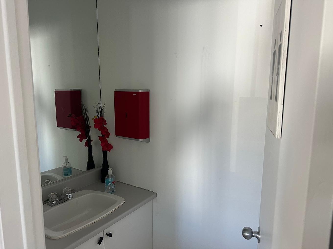 Salle d'eau - 711 - 711B Rue Labelle, Saint-Jérôme, QC - Indoor Photo Showing Bathroom