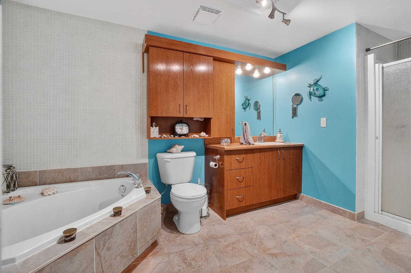 Bathroom - 301-16239 Rue Forsyth, Montréal (Rivière-Des-Prairies/Pointe-Aux-Trembles), QC - Indoor Photo Showing Bathroom