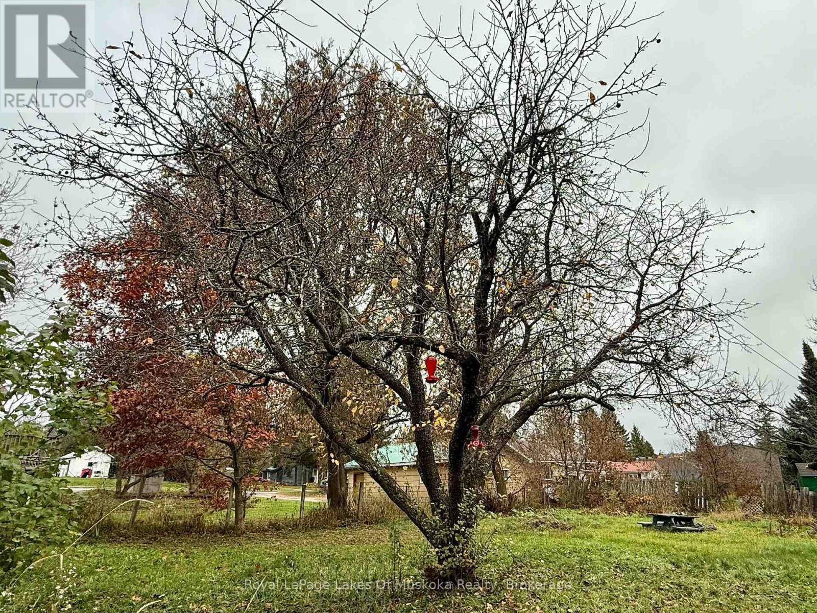 134 Main Street, Burk'S Falls, ON - Outdoor