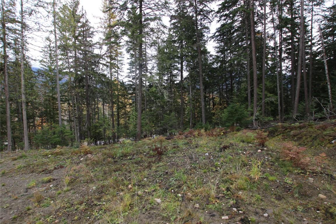 Lot 1 Brouse Loop Road, Nakusp, BC