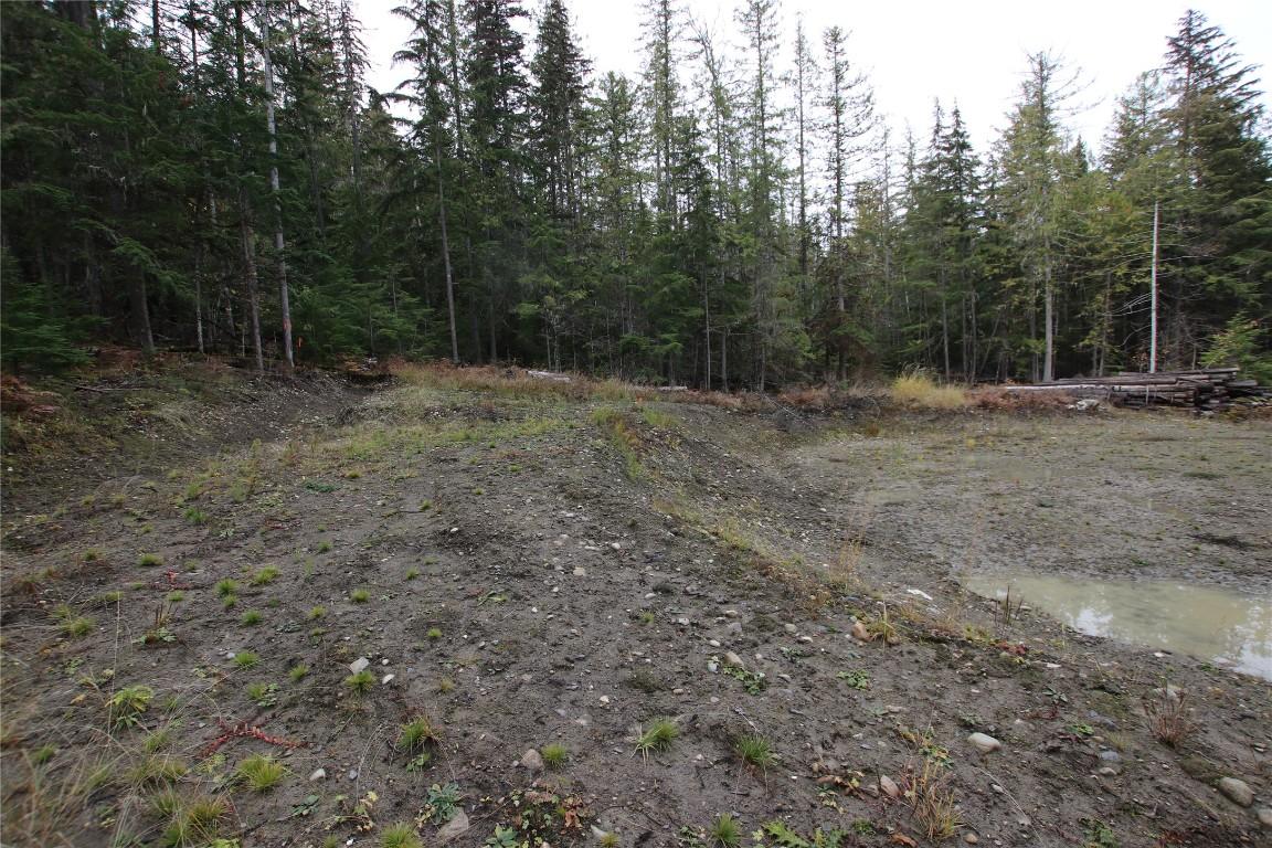 Lot 1 Brouse Loop Road, Nakusp, BC