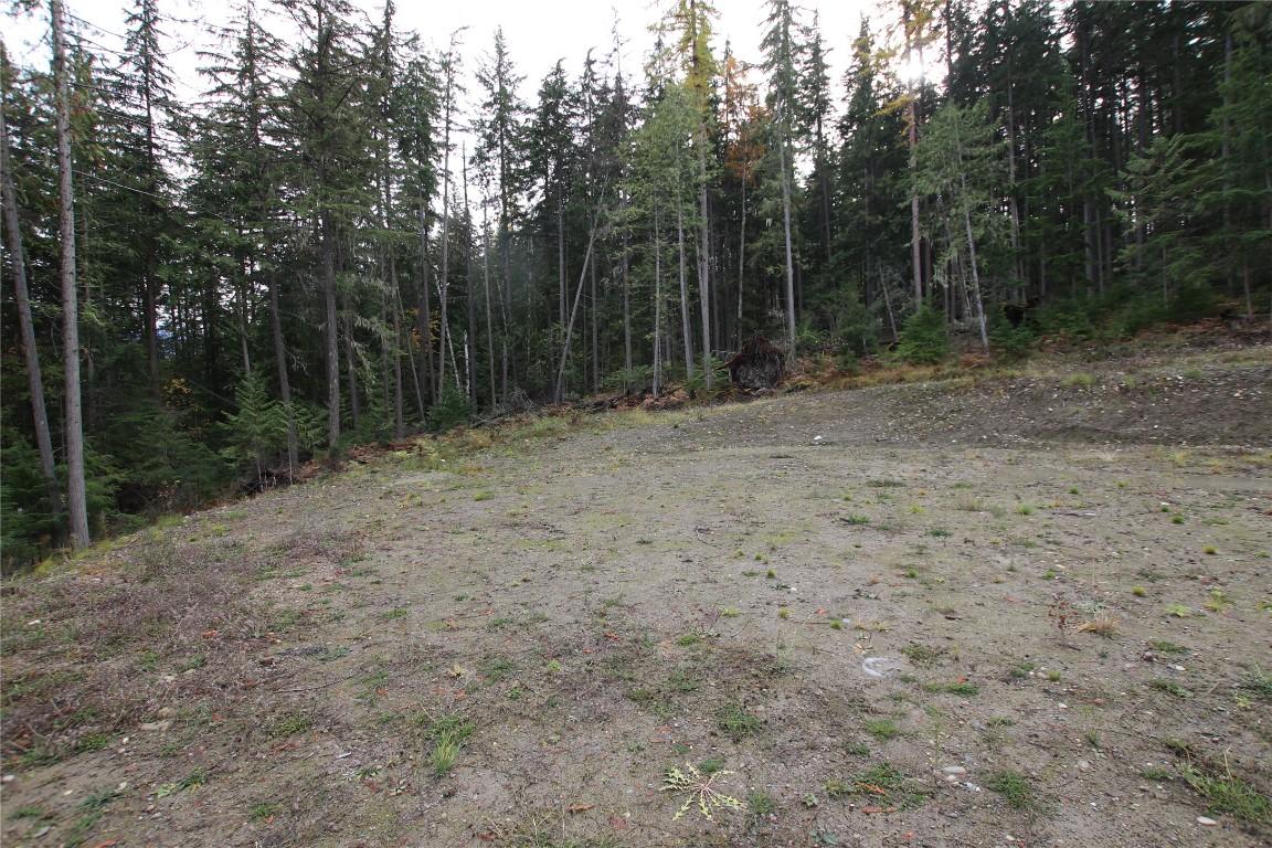 Lot 1 Brouse Loop Road, Nakusp, BC