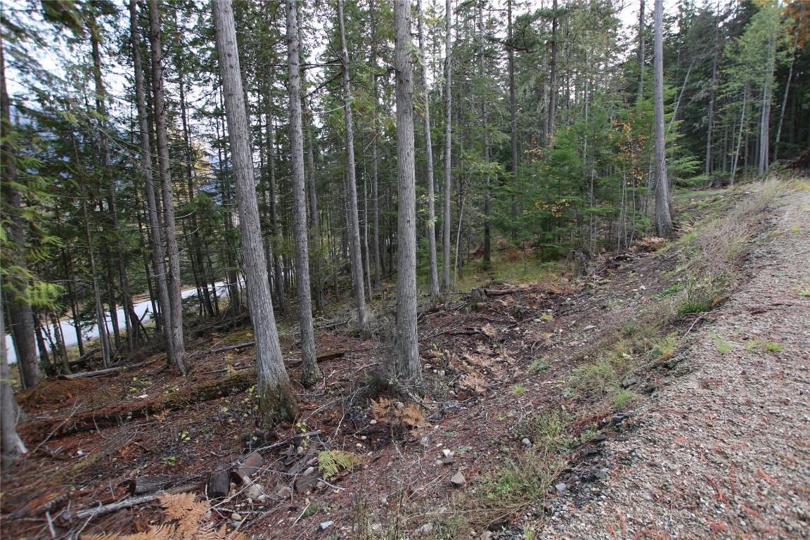 Lot 1 Brouse Loop Road, Nakusp, BC