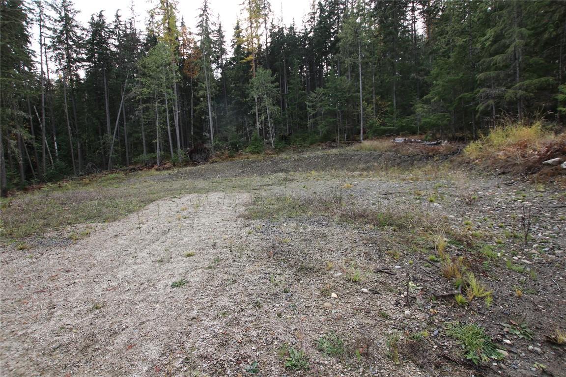 Lot 1 Brouse Loop Road, Nakusp, BC