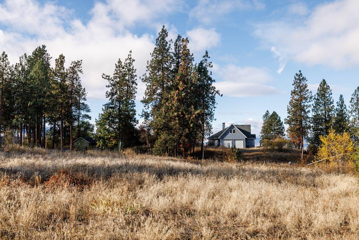 4323 Bedford Lane, Kelowna, BC - Outdoor With View