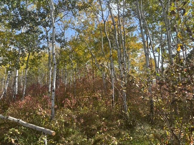 309 East Lake Shore Road, St Malo, MB