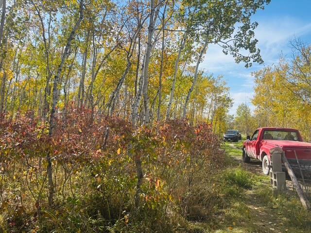 309 East Lake Shore Road, St Malo, MB