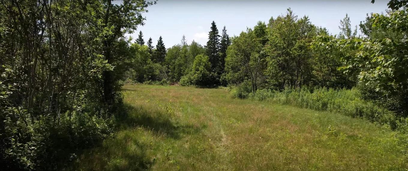 Tba Wight Birch Crescent, Lower Montague, PE