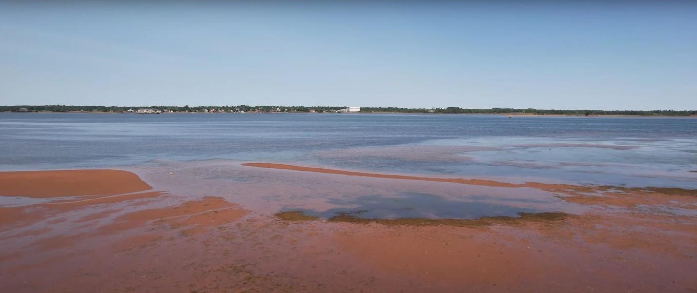 Tba Wight Birch Crescent, Lower Montague, PE