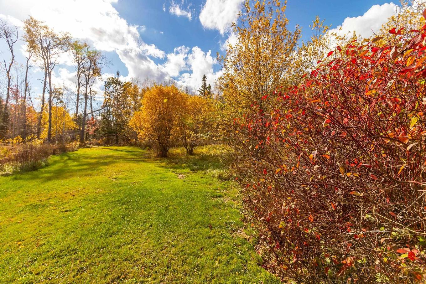 771 Highway 10, Springfield, NS