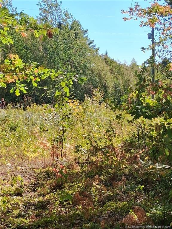 Lot 04-16 Sunset View Lane, Cumberland Bay, NB
