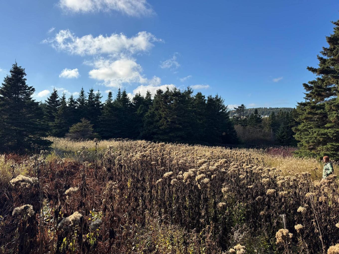 Terre/Terrain - Ch. Petitpas, Les Îles-De-La-Madeleine, QC