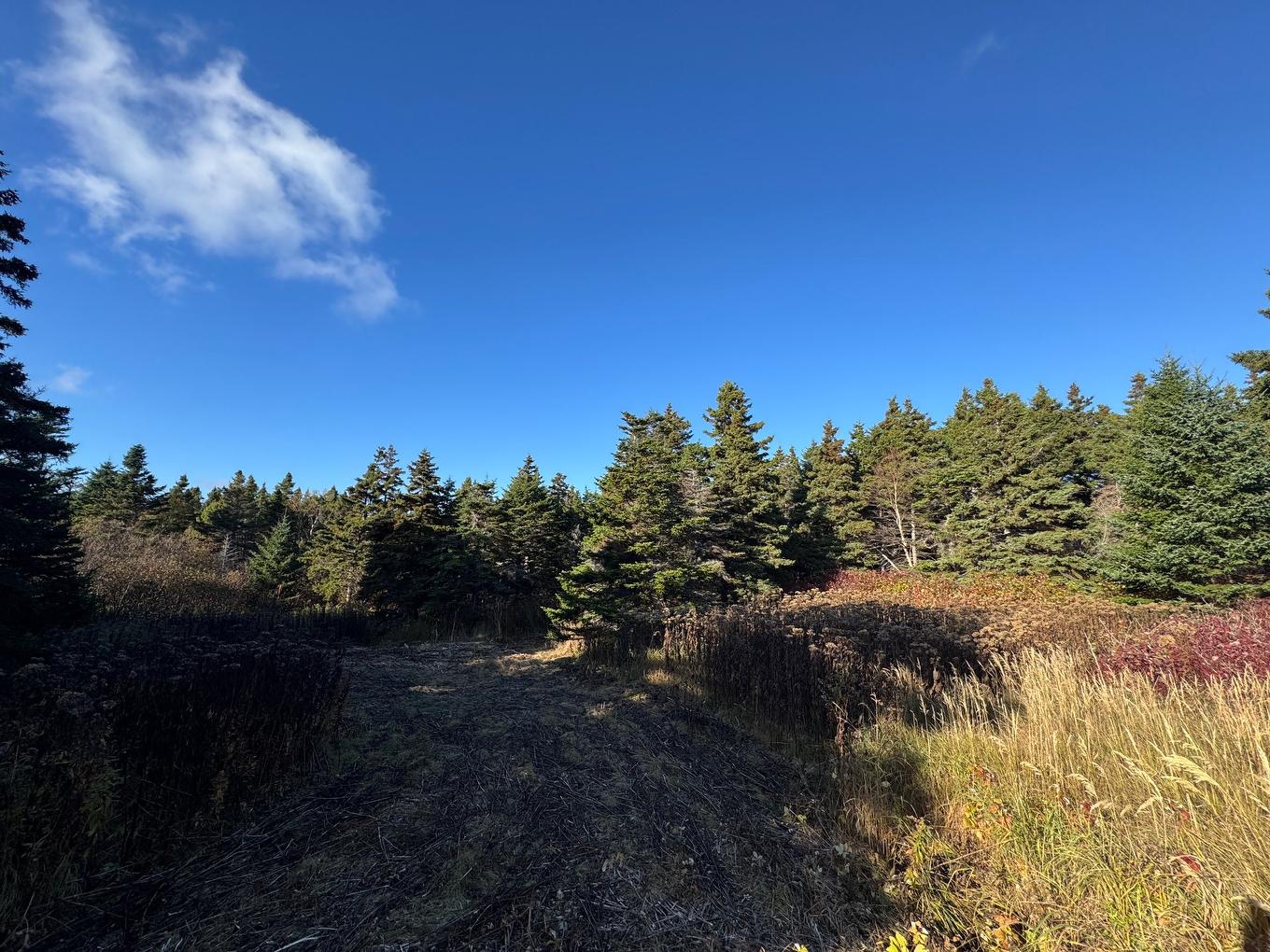 Terre/Terrain - Ch. Petitpas, Les Îles-De-La-Madeleine, QC