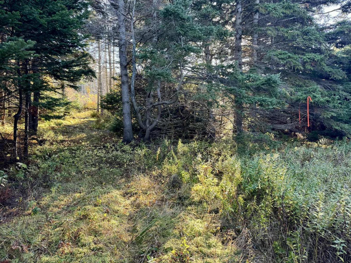 Terre/Terrain - Ch. Petitpas, Les Îles-De-La-Madeleine, QC