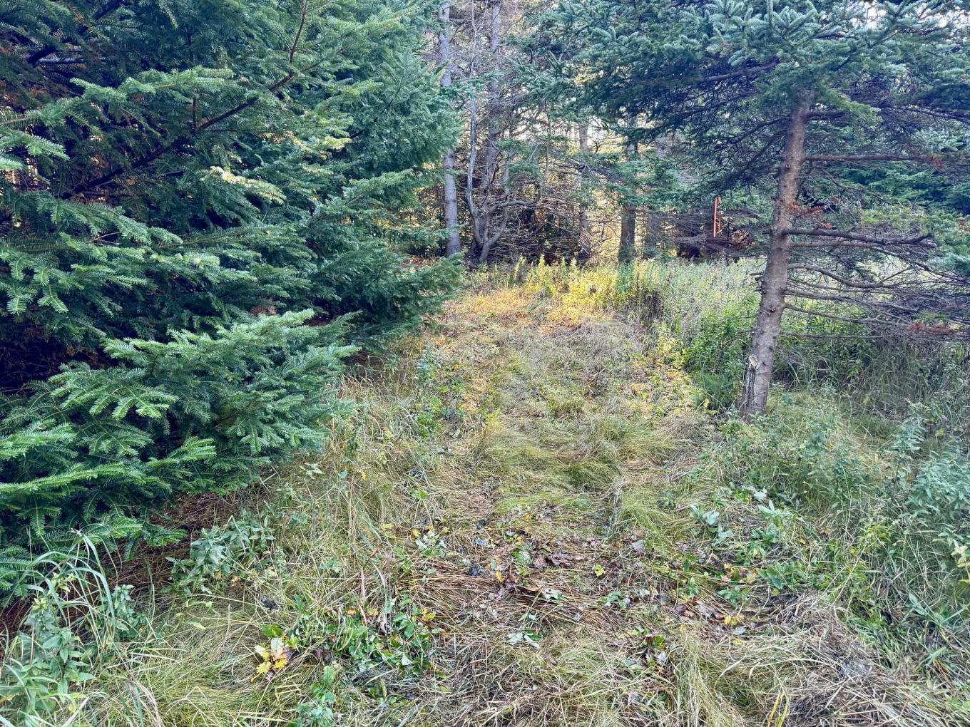 Terre/Terrain - Ch. Petitpas, Les Îles-De-La-Madeleine, QC