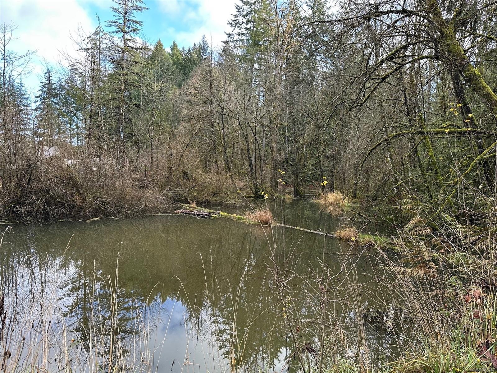 1745 Thain Rd, Cobble Hill, BC