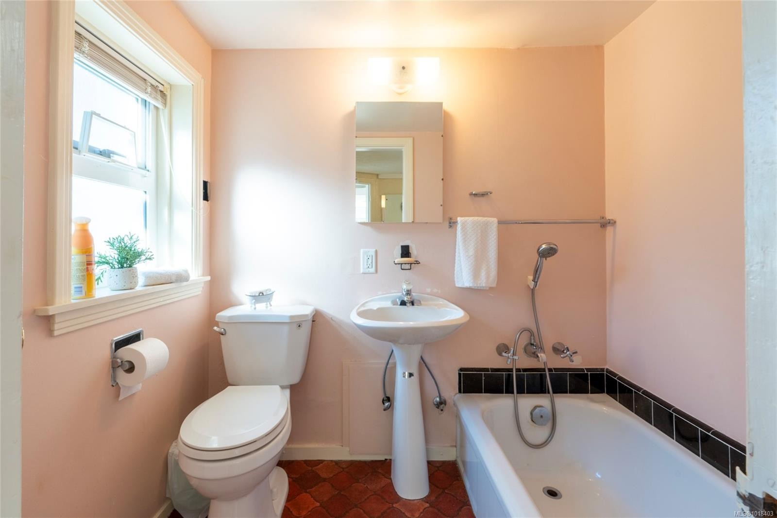 1131 Heald Ave, Esquimalt, BC