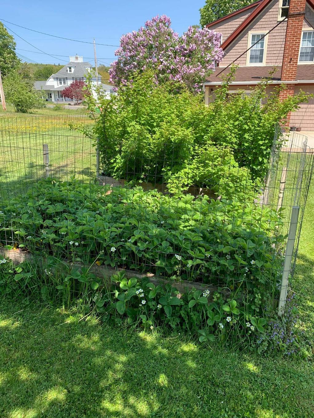 55 Lighthouse Road, Digby, NS