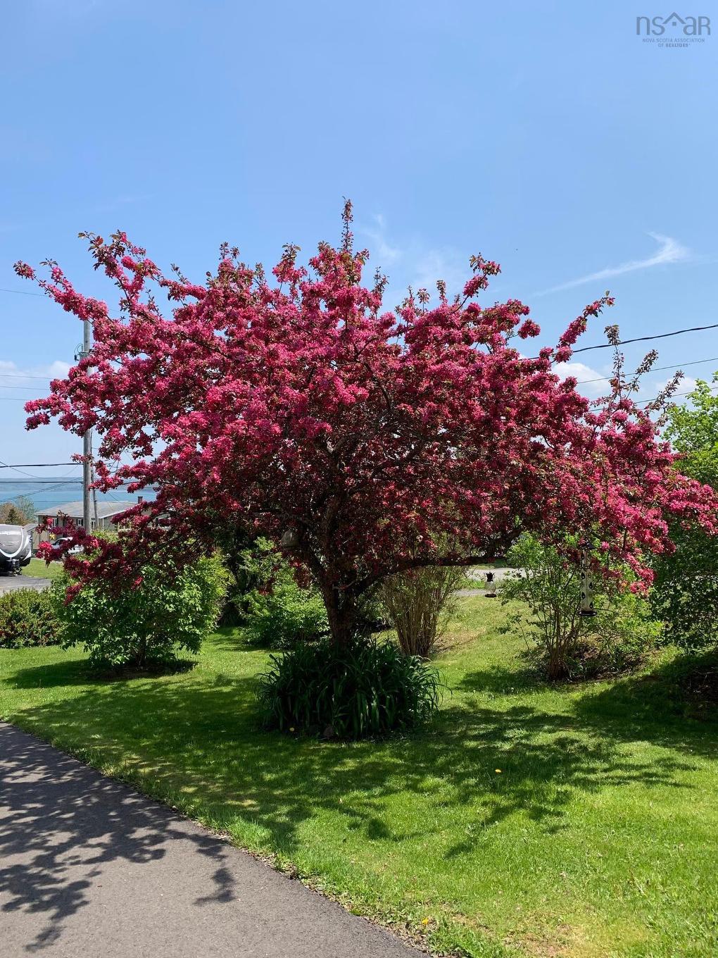 55 Lighthouse Road, Digby, NS