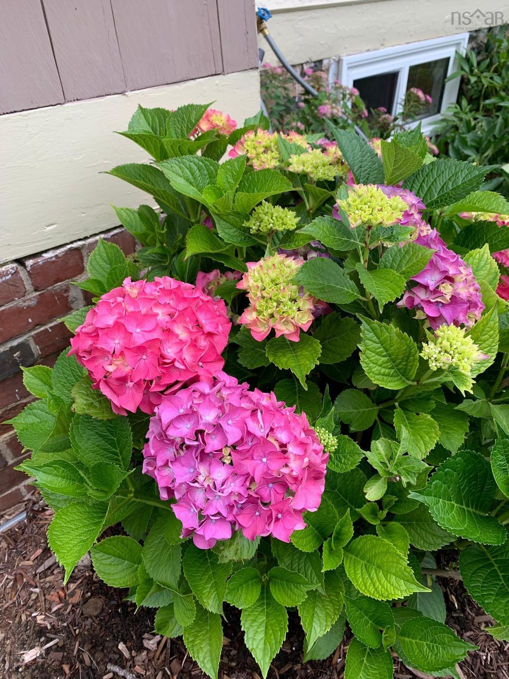 55 Lighthouse Road, Digby, NS