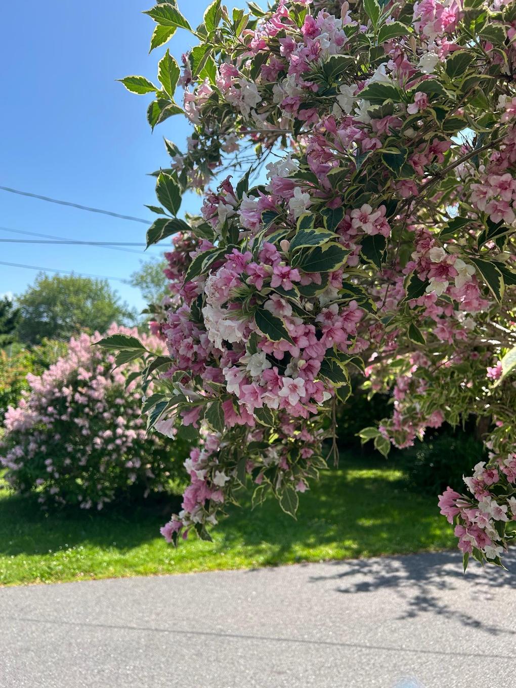 55 Lighthouse Road, Digby, NS