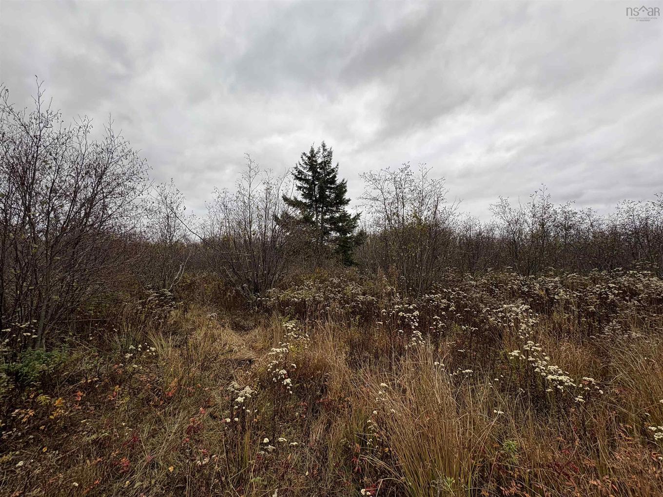 Vl Wallace Bridge Station Road, Wallace River West, NS