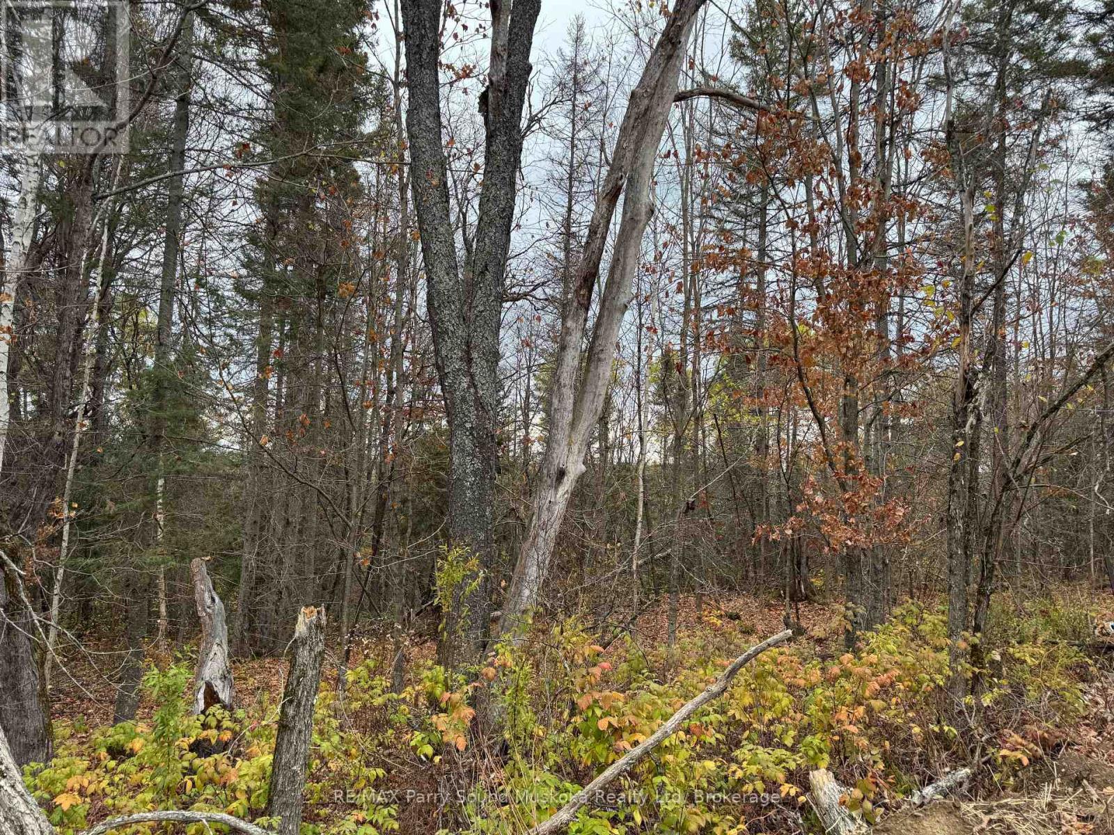 0-2 Bennett Road, Parry Sound Remote Area (Pringle), ON