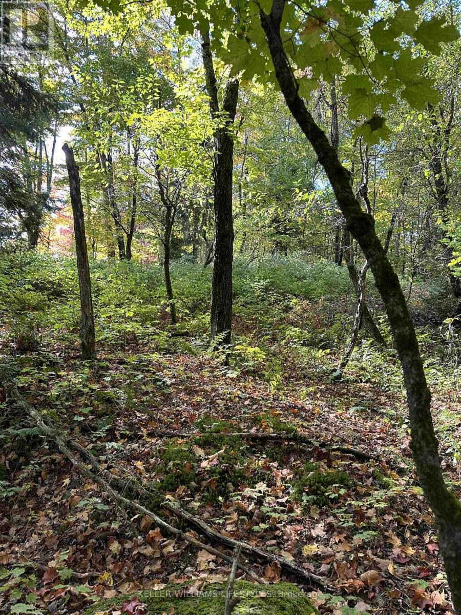 0 Cedar Crescent, Nipissing, ON