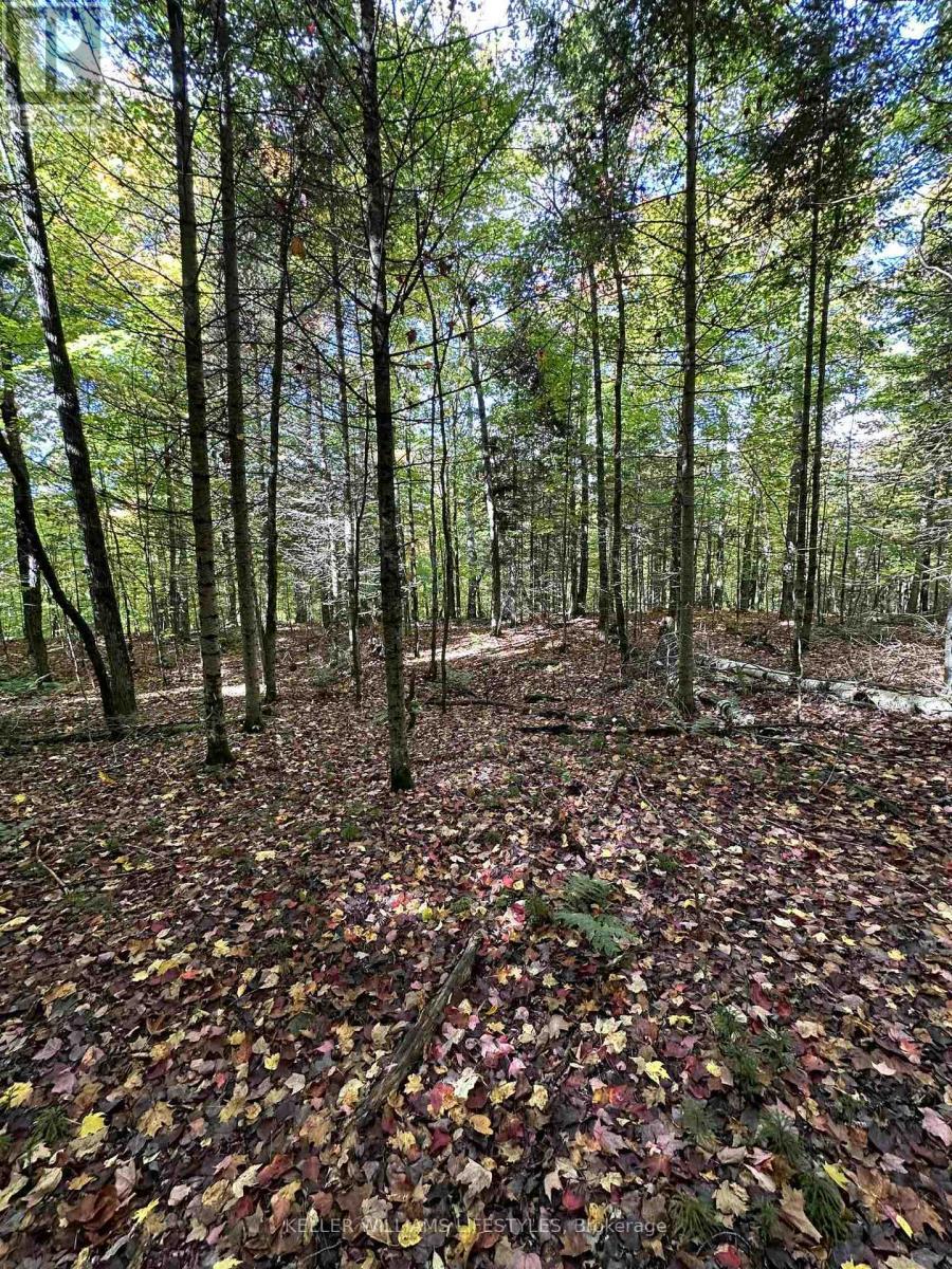 0 Cedar Crescent, Nipissing, ON