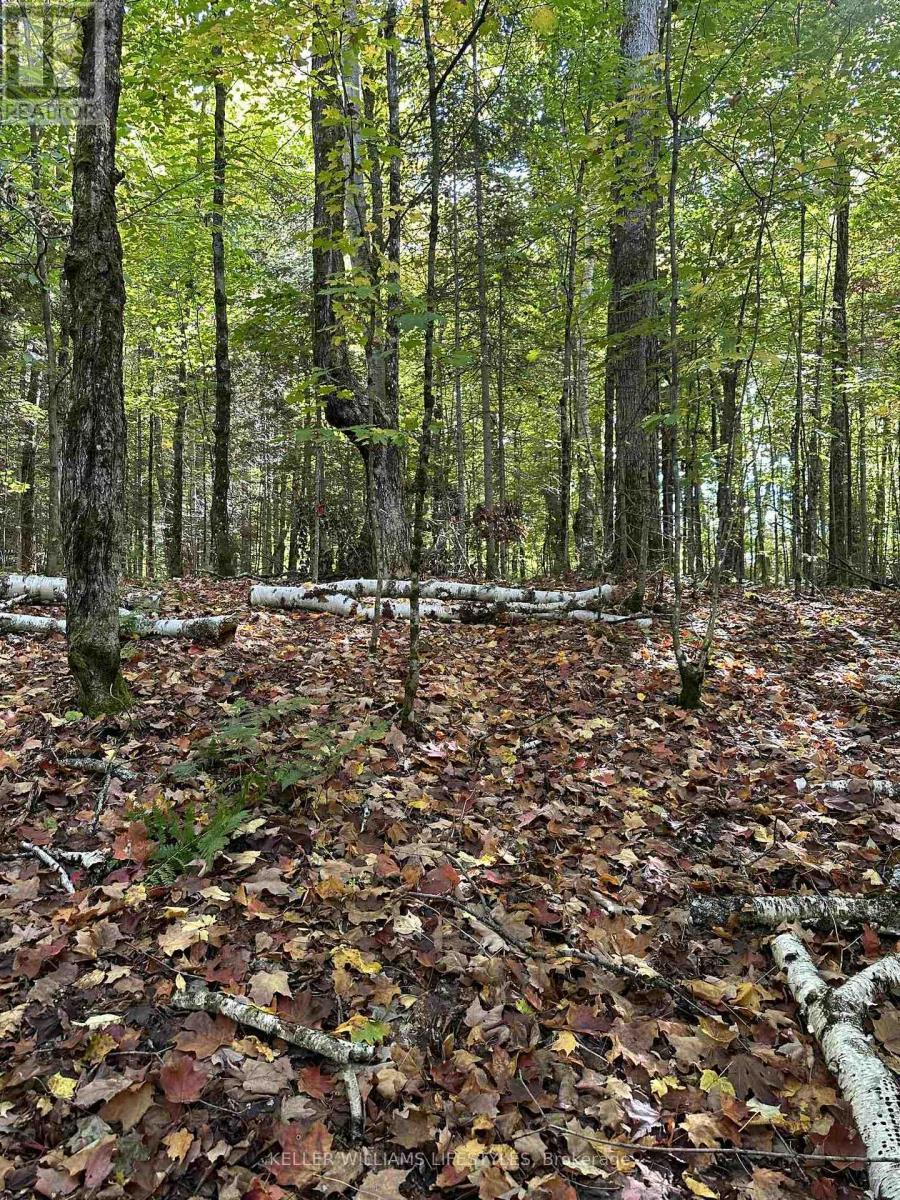 0 Cedar Crescent, Nipissing, ON