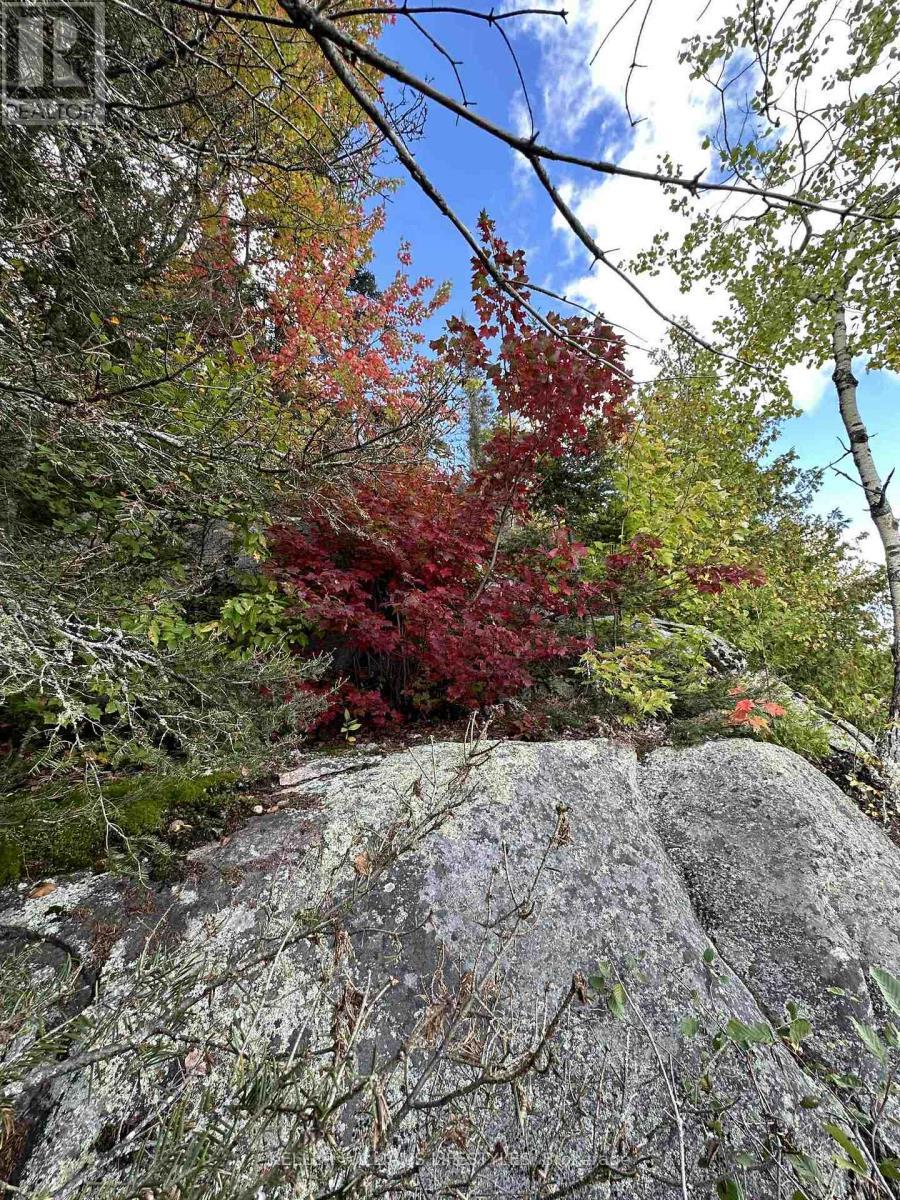 0 Cedar Crescent, Nipissing, ON