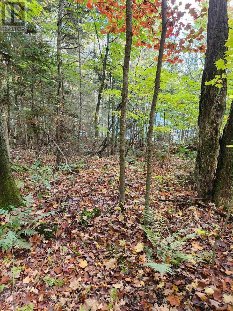 0 Cedar Crescent, Nipissing, ON