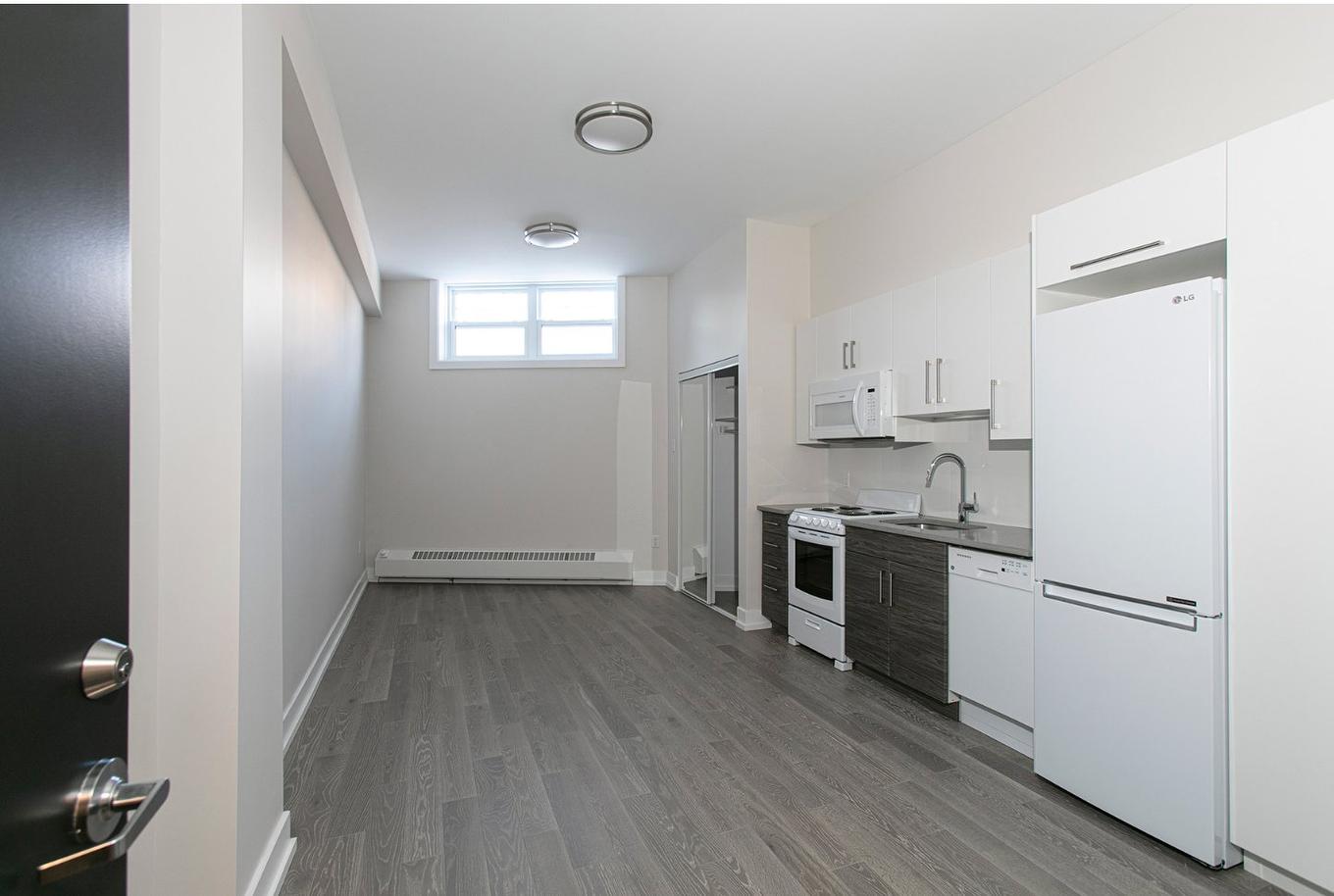 Garçonnière - B2-6878 Rue Sherbrooke O., Montréal (Côte-Des-Neiges/Notre-Dame-De-Grâce), QC - Indoor Photo Showing Kitchen