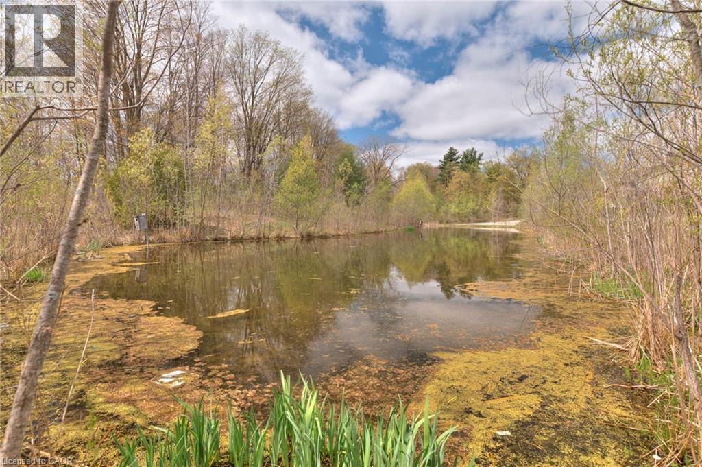 288 Steepleridge Street, Kitchener, ON - Outdoor With View