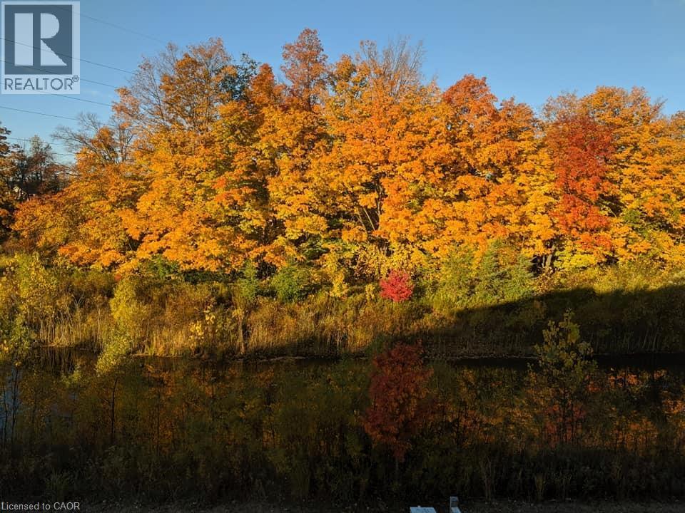 288 Steepleridge Street, Kitchener, ON - Outdoor