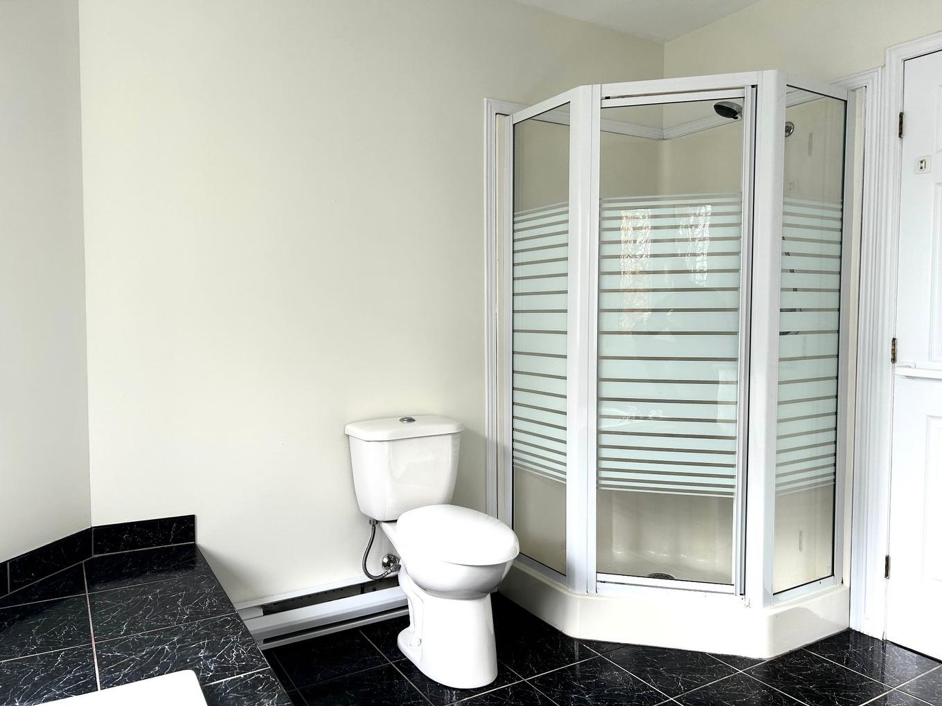 Salle de bains - 457 Rue Bellevue, Magog, QC - Indoor Photo Showing Bathroom