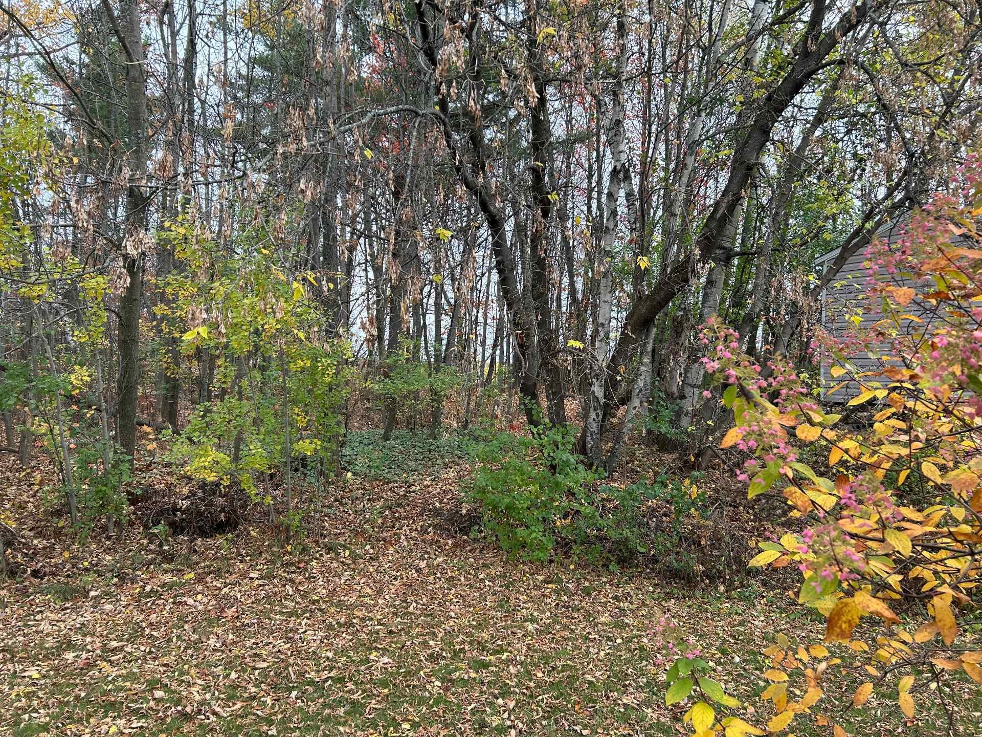 Exterior - 457 Rue Bellevue, Magog, QC - Outdoor