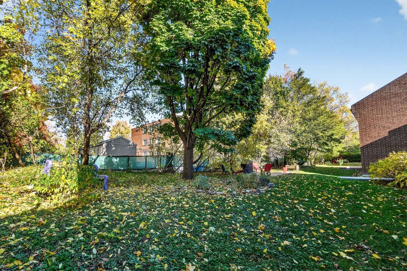 Backyard - 39 Rue St-Jean, Longueuil (Le Vieux-Longueuil), QC - Outdoor