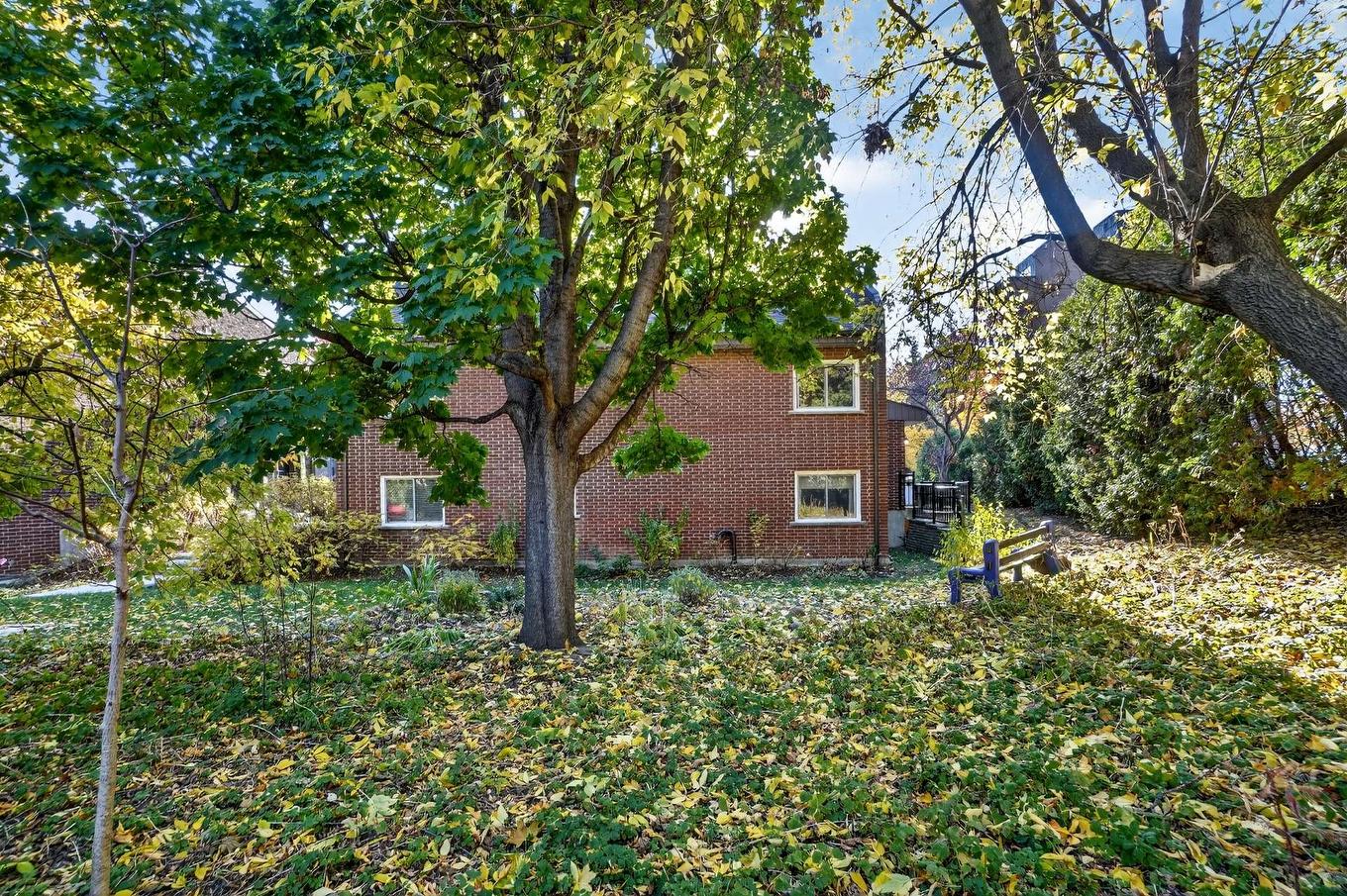 Backyard - 39 Rue St-Jean, Longueuil (Le Vieux-Longueuil), QC - Outdoor