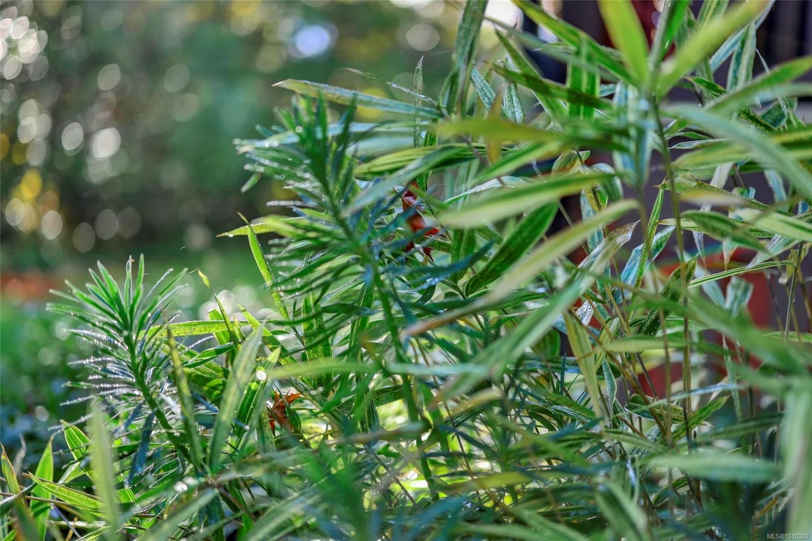 4690 Compton Rd East, Port Alberni, BC