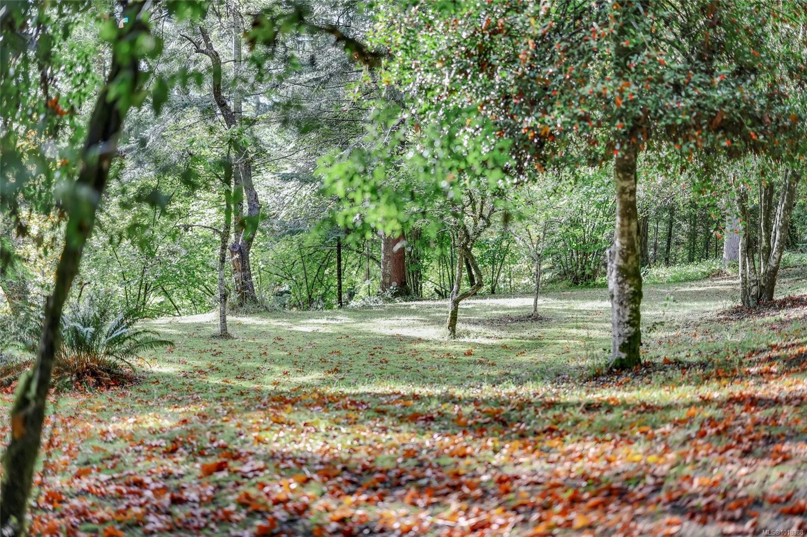 4690 Compton Rd East, Port Alberni, BC