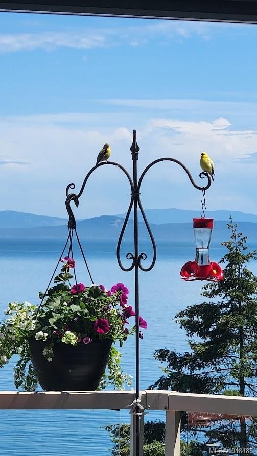 7-4771 Cordova Bay Rd, Saanich, BC