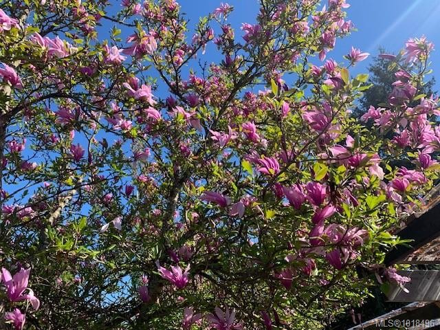 4766 Headquarters Rd, Courtenay, BC