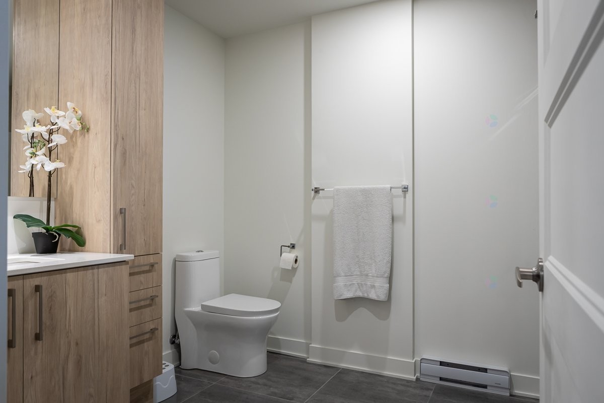 Salle de bains - 524-705 Av. Pierre-Dansereau, Terrebonne (Terrebonne), QC - Indoor Photo Showing Bathroom