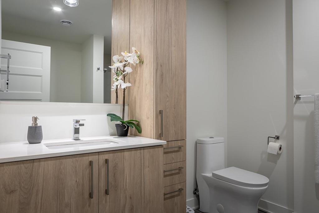 Salle de bains - 408-705 Av. Pierre-Dansereau, Terrebonne (Terrebonne), QC - Indoor Photo Showing Bathroom