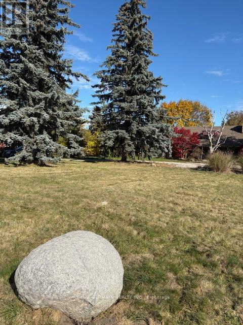 281 Barrie Street, Bradford West Gwillimbury, ON