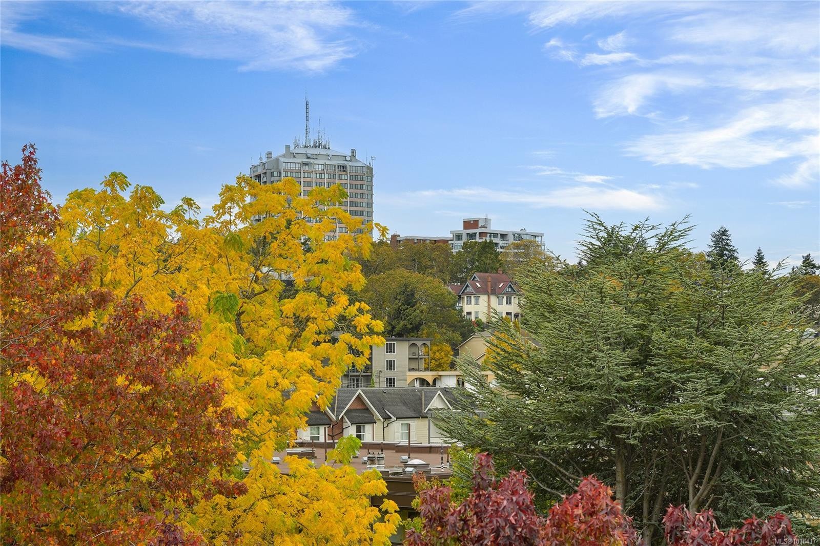 611-1745 Leighton Rd, Victoria, BC - Outdoor With View